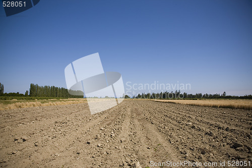 Image of Ploughed Field