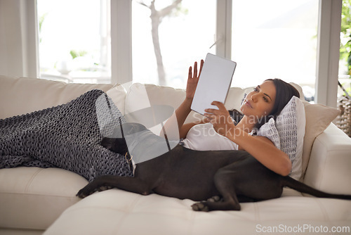 Image of Woman, tablet and dog in home for relax with typing email, communication and online movie in living room with blanket. Person, technology and social media search, web subscription or comfort on couch