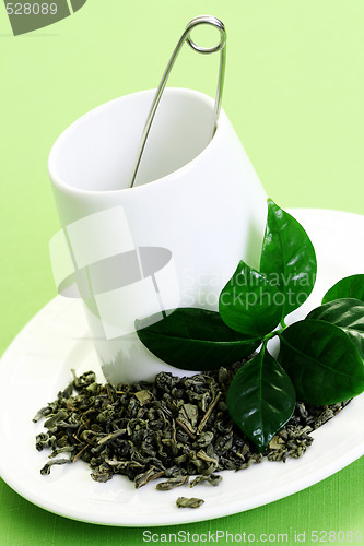 Image of cup of green tea