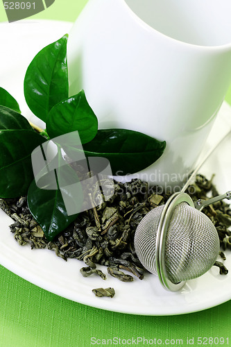 Image of cup of green tea