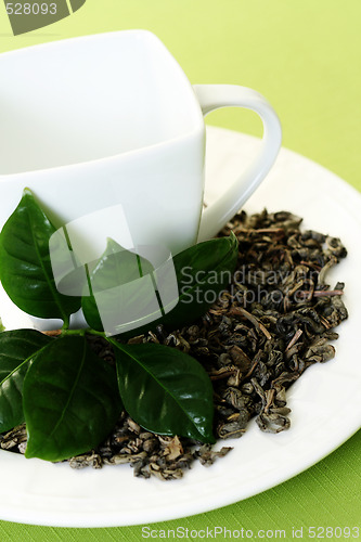 Image of cup of green tea