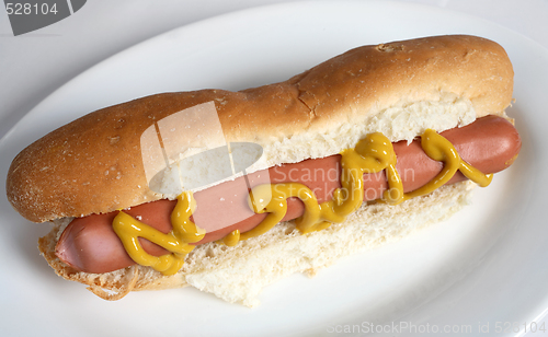 Image of Hot dog in a bun