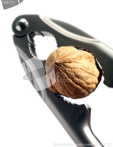 Image of Cracking a nut