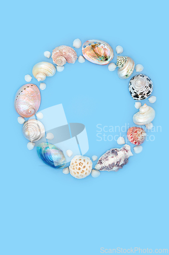 Image of Mother of Pearl and Natural Seashell Wreath