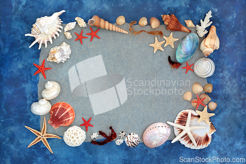 Image of Seashell Assortment Abstract Background Border
