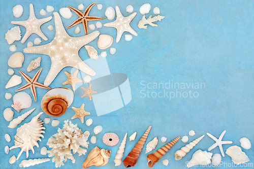 Image of Sea Shell Abstract Background Border Collection