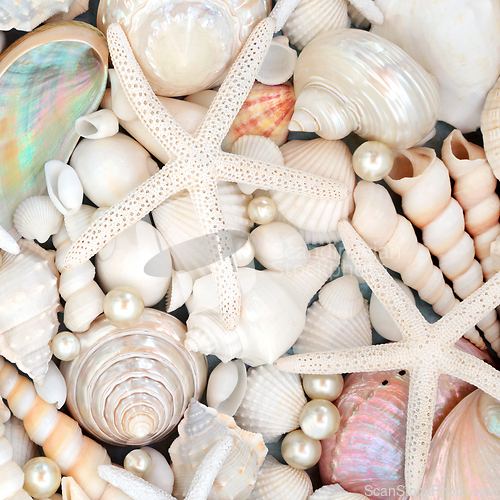 Image of Sea Shell and Pearl Natural Sea Life Background