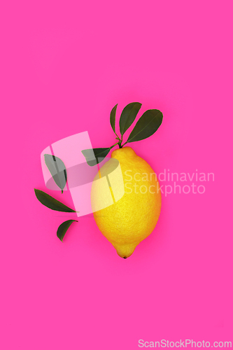 Image of Gaudy Summer Lemon Citrus Fruit Design