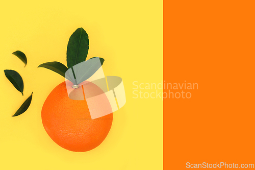 Image of Summer Orange Citrus Fruit for Healthy Eating