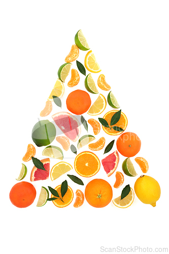 Image of Surreal Summer Fun Citrus Fruit Tree Concept