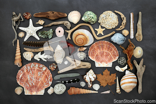Image of Beautiful Collection of Natural Nature Objects 