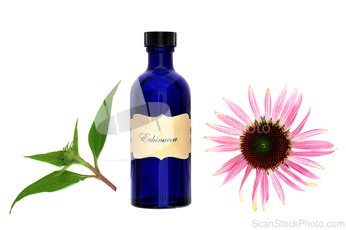 Image of Echinacea Medicinal Tincture for Bronchitis Coughs and Colds