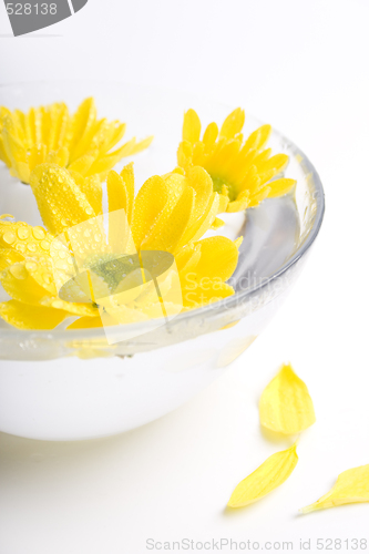 Image of yellow flowers