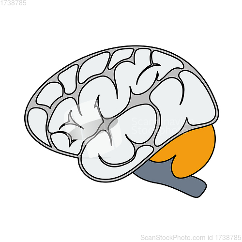 Image of Brain Icon