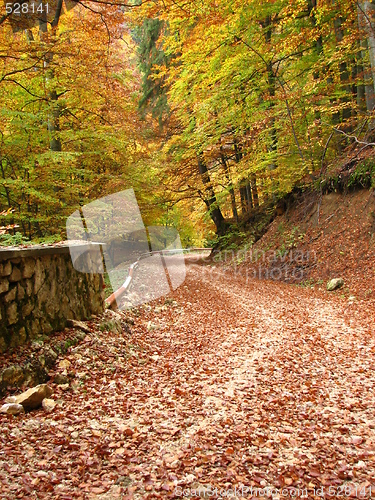 Image of Legend of the falls