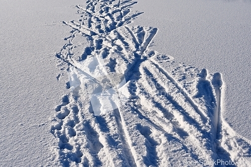 Image of ski and footprints on the snowy surface 
