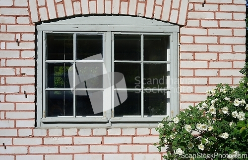 Image of window in a brick house and wild rose bush