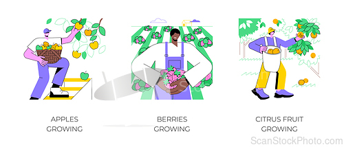 Image of Fruit production isolated cartoon vector illustrations.