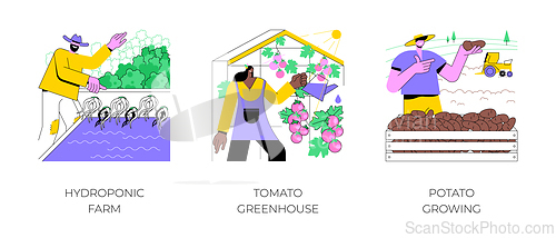 Image of Vegetable industry isolated cartoon vector illustrations.