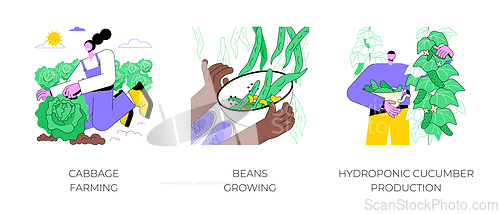 Image of Growing vegetables isolated cartoon vector illustrations.