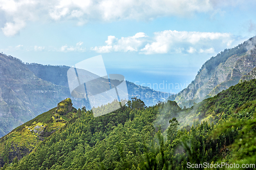 Image of beautiful Madeira landscape