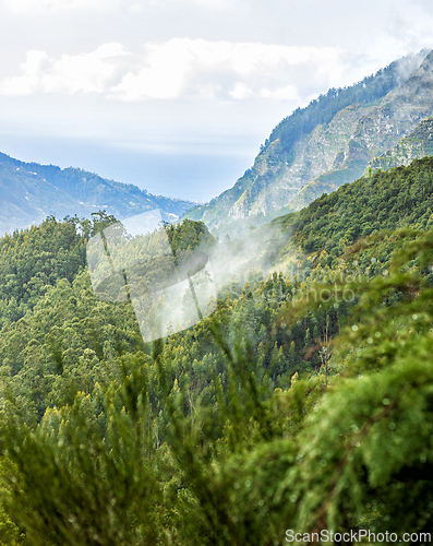 Image of beautiful Madeira landscape