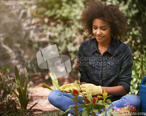 Image of Woman, gardening and happy with plants, outdoor and gloves for safety from germs, dirt or dust in spring. Girl, person and flowers in ground for growth, development or nature with ecology in backyard