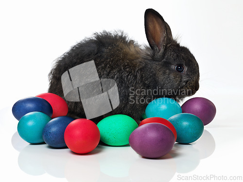 Image of Easter, eggs and bunny on table in studio for celebration, kids fun and creative paint. Culture, tradition and rabbit with chocolate, color and hunt on Good Friday, festive event or Christian holiday