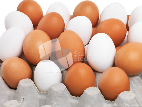 Image of Food, easter and eggs with tray of brown or white color for ingredients, breakfast or healthy protein. Natural, nutrition or diet of chicken produce, organic meal or snack of full batch or collection