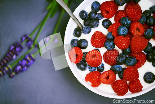 Image of High angle, berries and bowl with yogurt, raspberry and blueberry for organic snack. Food, cuisine and lavender for health, wellness and diet for morning nutrition and antioxidant wellbeing in studio