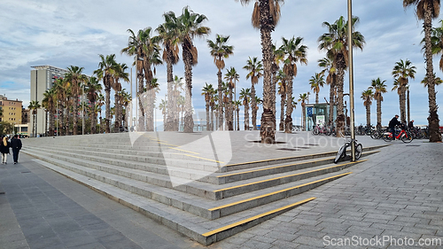 Image of BARCELONA, SPAIN - APRILL 2, 2024: Palm trees line sidewalk