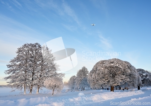 Image of beautiful winter landscape in the park on a sunny day, airplane 