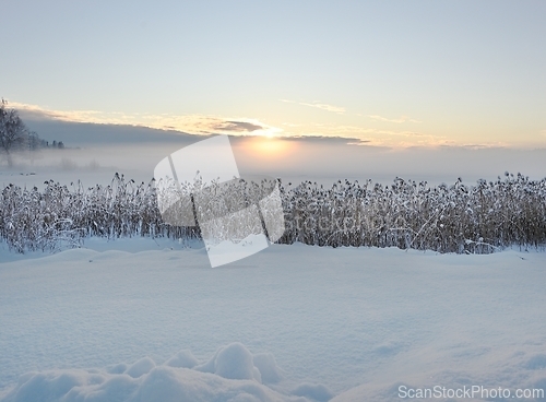 Image of  sunset over the winter lake