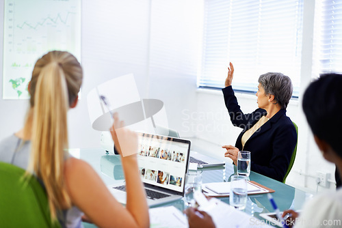 Image of Women, meeting and boardroom with laptop for presentation with graph, statistics and feedback on company growth. Office, female person and back view of client with paperwork, question and briefing.