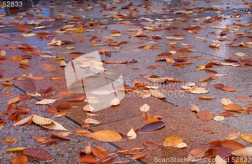 Image of Autumn street