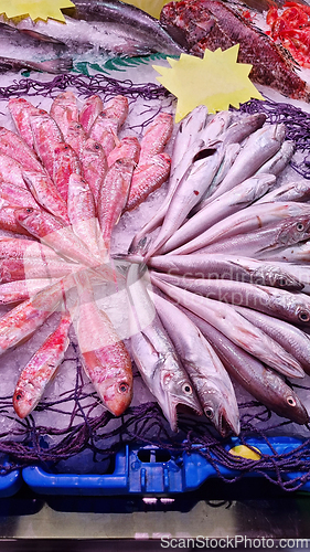 Image of Many fish in a fish market