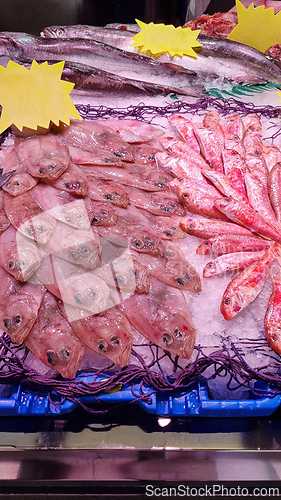 Image of Large display of fish in a fish market