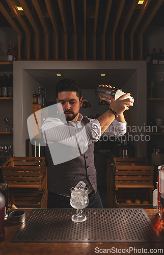 Image of Professional bartender shaking cocktail at bar