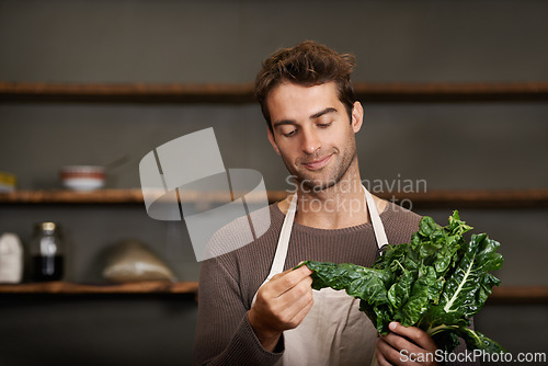 Image of Kitchen, restaurant and man with spinach for cooking, service and chef skills for supper. Dining, cafeteria and person with vegetables, fresh ingredients and food meal prep for lunch or dinner