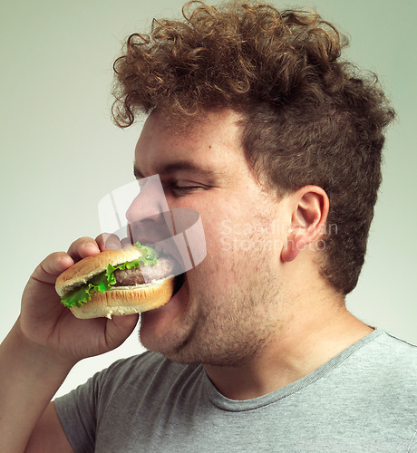 Image of Obesity, weight gain and fast food for man in studio with hamburger for unhealthy eating,plus size and greed. Overweight person with burger in mouth and double chin for delicious, humor and comedy