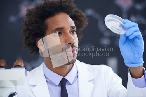Image of Science, microscope and man with sample in dish for test, medical research for chemistry results with lab technician. Biotech, laboratory and scientist with glass for analysis, investigation or exam
