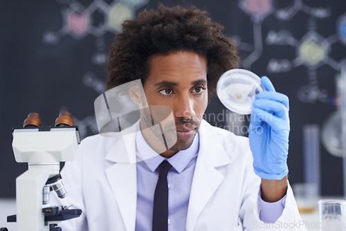 Image of Science, microscope and man with sample in glass for test, medical research for chemistry results with lab technician. Biotech, laboratory and scientist with dish for analysis, investigation or exam