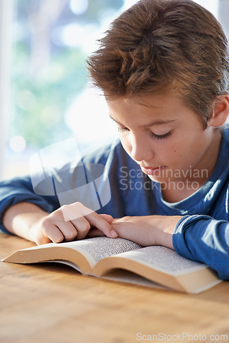 Image of Home, boy and kid with textbook to study or read with learning for child development, knowledge and growth Closeup, homework and information for education with notes for exam, test and school project