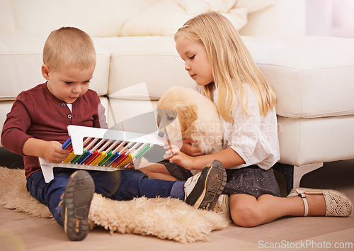 Image of Children, puppy and kid toy in a home with animal, pet and youth development in a living room. Golden retriever, abacus and fun with dog together by couch in a house with bonding and sibling on floor