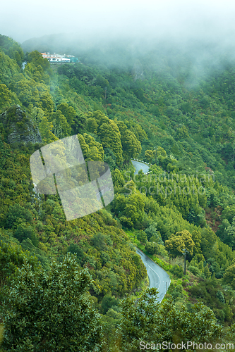 Image of beautiful Madeira landscape