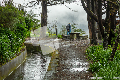 Image of beautiful Madeira landscape