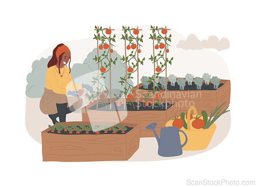 Image of Growing vegetables isolated concept vector illustration.