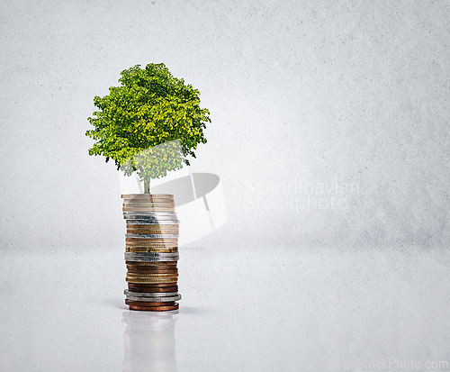 Image of Closeup, studio and tree in coins for saving, budgeting and illustration of time value of money. Banking, change and growth of small investment, progress and profit in business by grey background