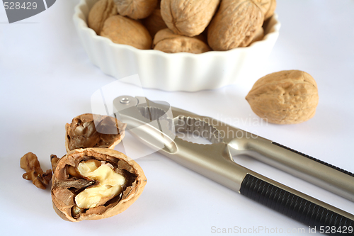 Image of Nutcracker and walnuts