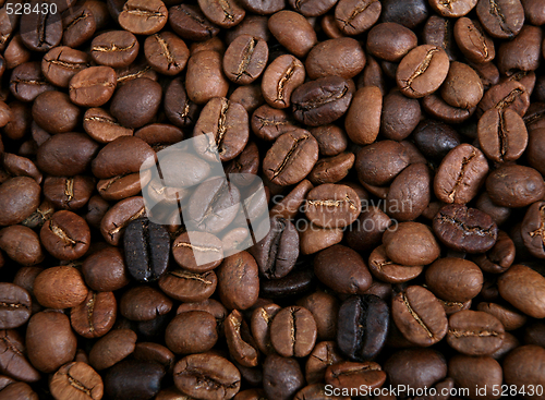 Image of Blend of roasted coffee beans